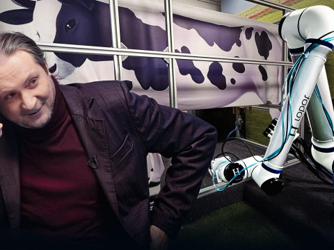 Калі макет даілкі доіць макет каровы