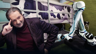 Калі макет даілкі доіць макет каровы