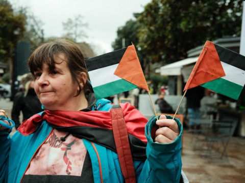 Непрерывные митинги в поддержку Палестины. Разоблачение фейка от команды Media IQ