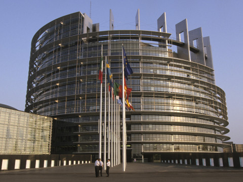 Ультраправые доминируют в Европарламенте? Проверяем заявления депутата Шевцова и АТН