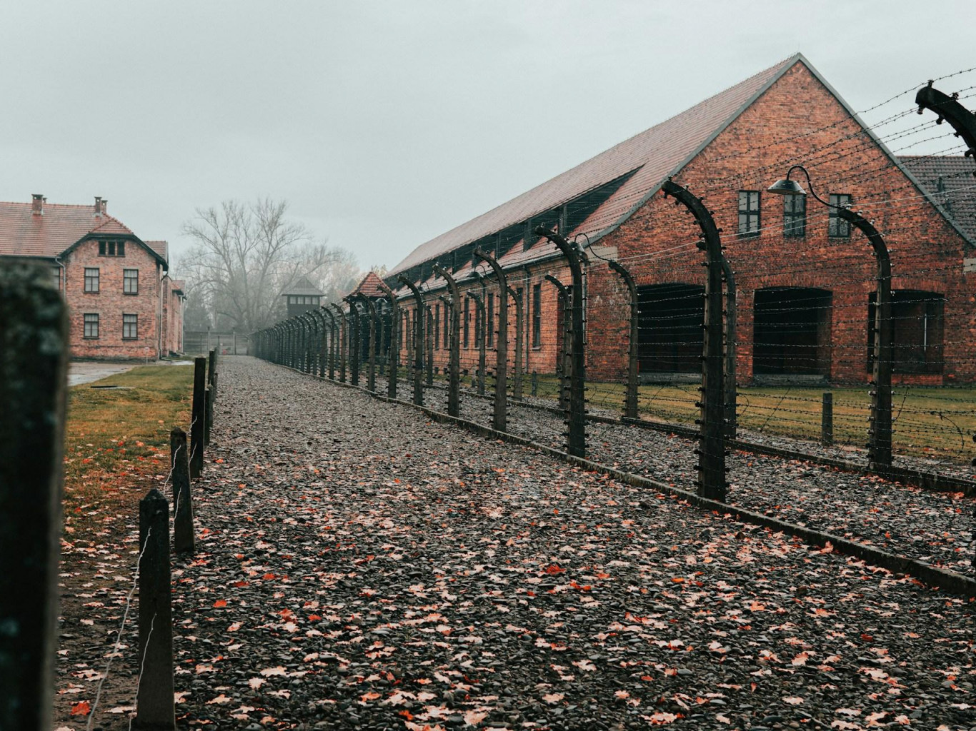 Poles hated Jews more than Nazis? Scrutinizing Lazutkin’s claims