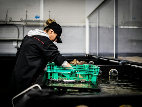 The dean of the journalism faculty stated that, unlike the West, Belarus has achieved gender balance. Belstat disagrees