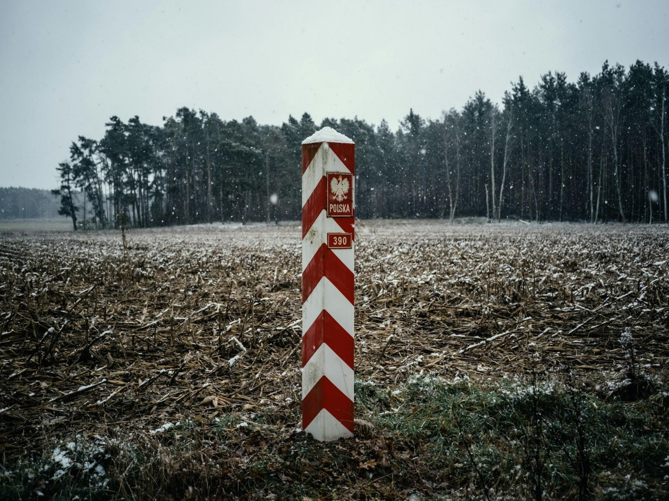 «Для чаго яны мінуюць мяжу?» Дэпутат Гігін няправільна адказаў на сваё ж пытанне пра Польшчу
