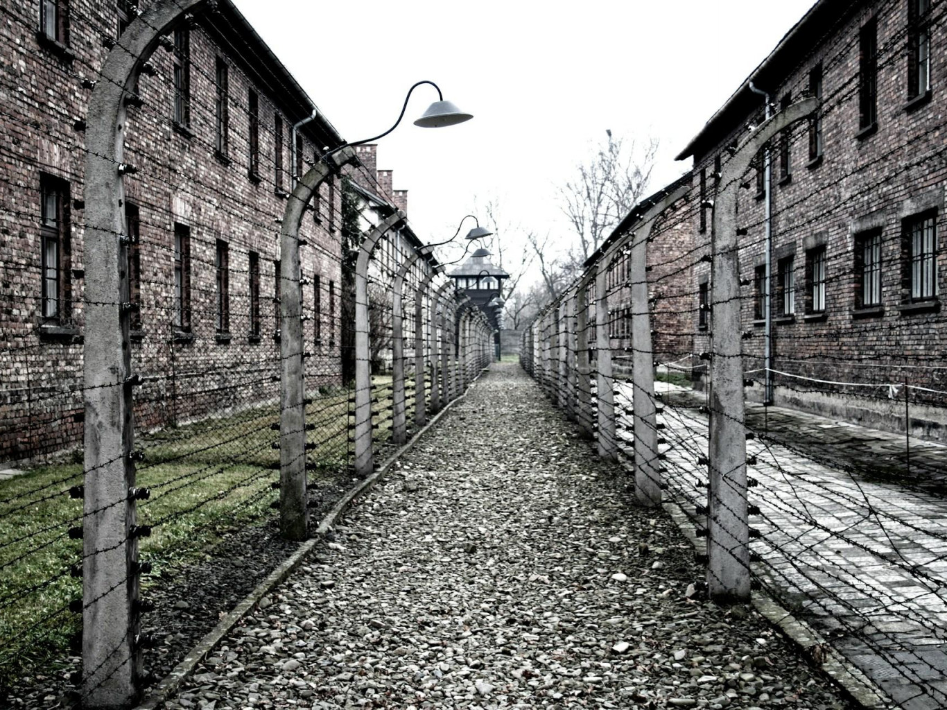 Poland did not invite Israel, Belarus, and Russia to the Auschwitz liberation anniversary? Fact-checking the statement of the dean of the journalism faculty at BSU