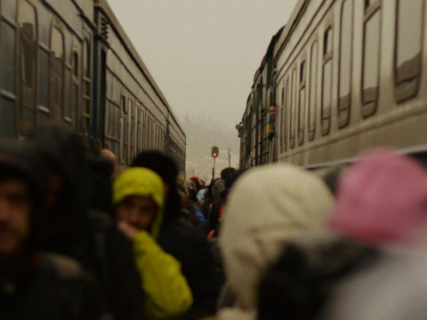 How many Poles would leave if war broke out in Poland? We compared Deputy Buzin’s claims with the poll results