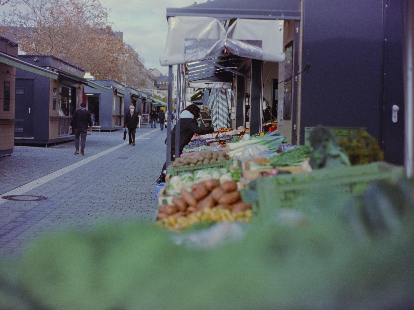 Эканаміст Аўдонін прадказаў ЕЗ смерць, калі Расея зачыніць свой рынак. Праверылі важнасць РФ для еўрапейскага экспарту