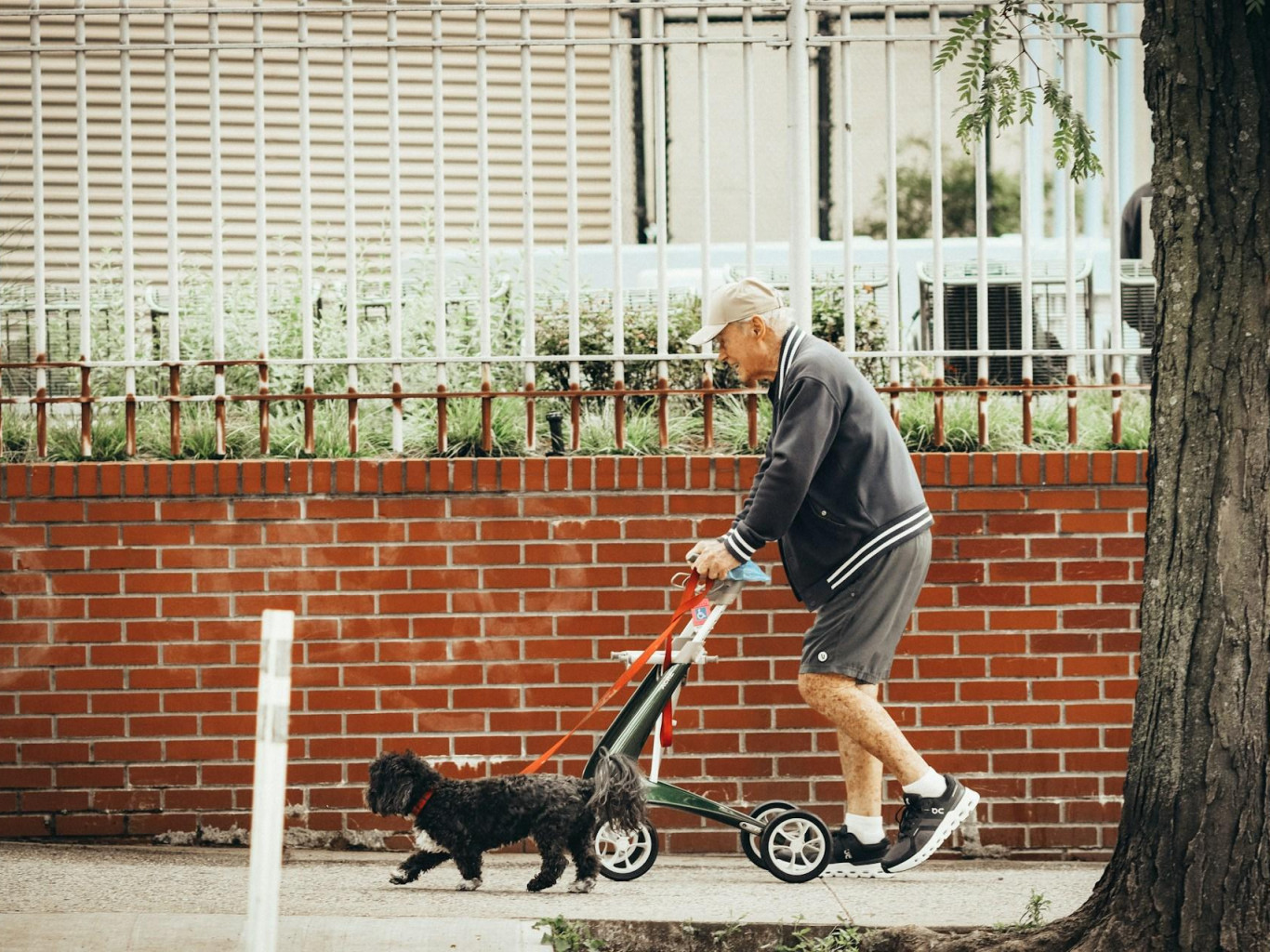 Will pensioners have their benefits taken away? An expert linked the Latvian reform to NATO’s plans and was wrong