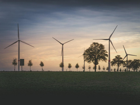 Costly green energy has shaken the European economy. Economist Avdonin’s statements contradict the facts.