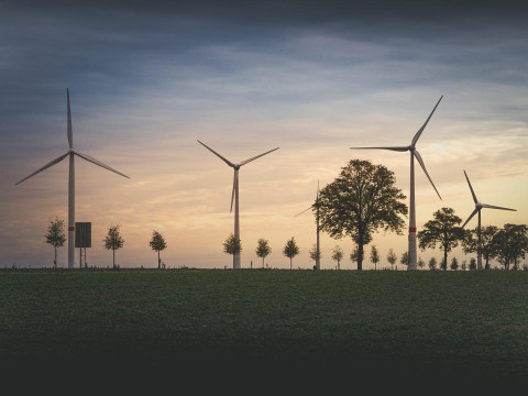 Costly green energy has shaken the European economy. Economist Avdonin’s statements contradict the facts.