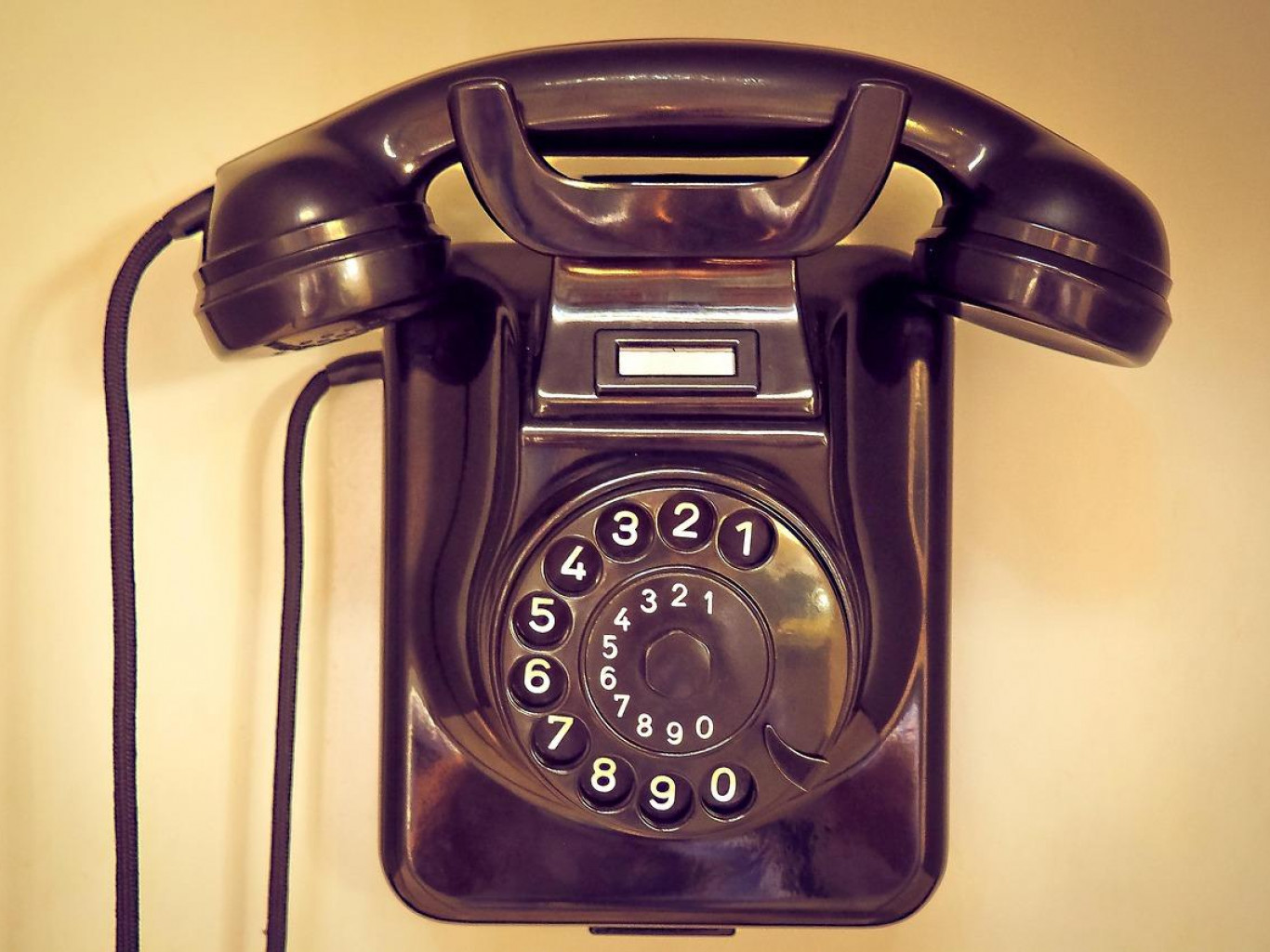 Lukashenko was (not) the first? Who Putin called after meeting with the U.S. special envoy