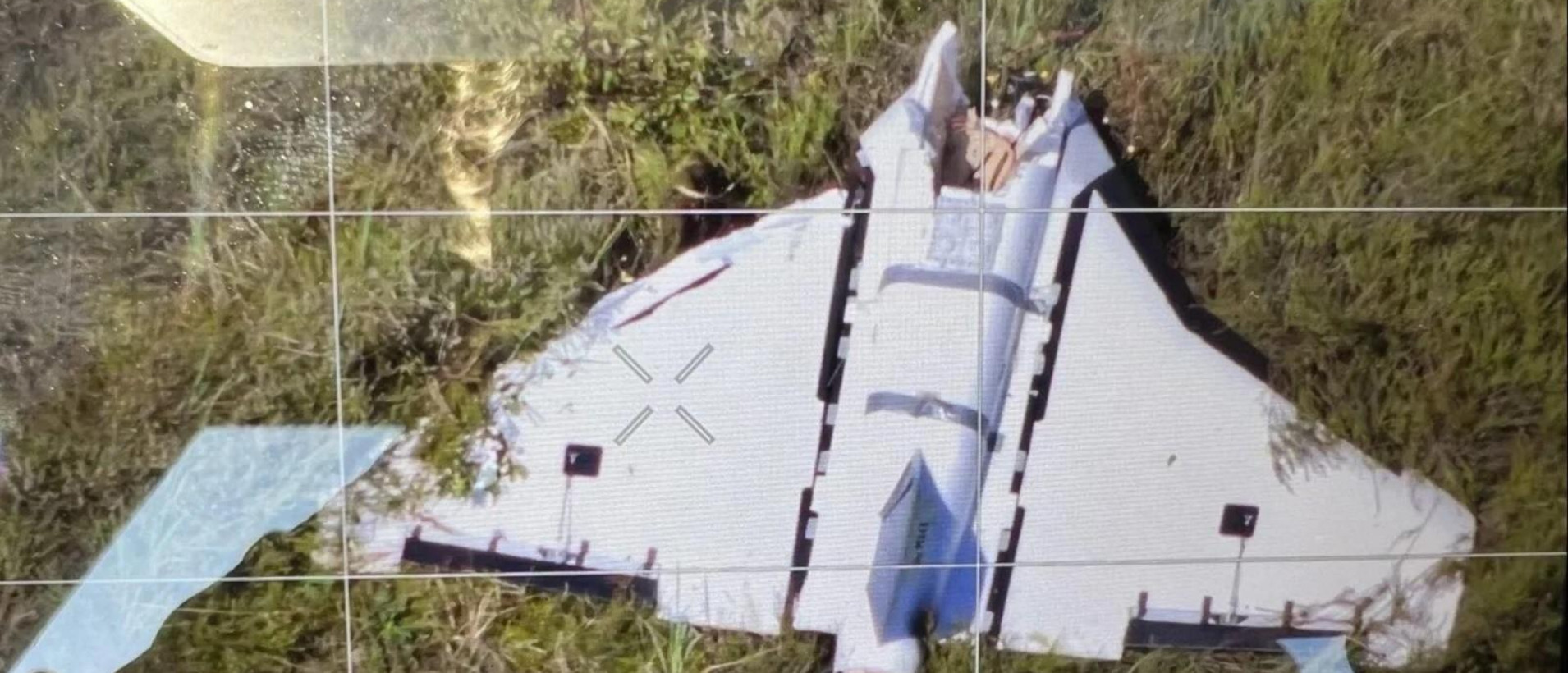 Whose drone entered Lithuania? Political analyst Petrovsky’s version clashed with the official one