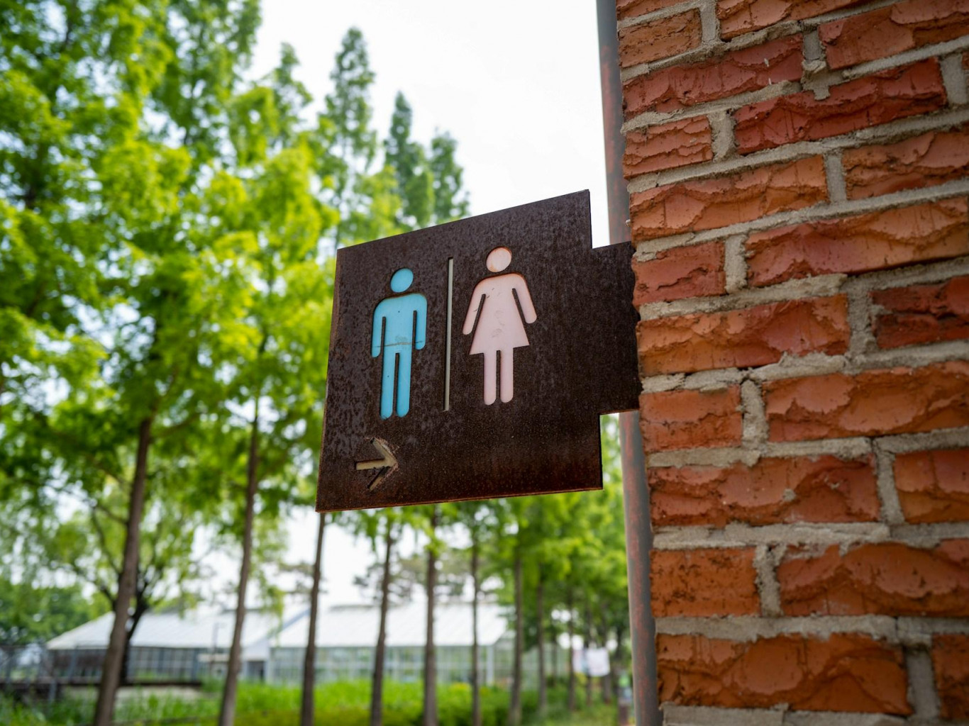 «Зямля наша» выдала інструкцыю па карыстанні прыбіральняй за плакат для праверкі на «бандэраўшчыну»