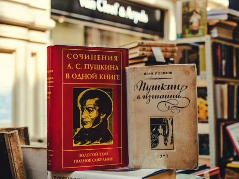 Politicians or the people? Who in Latvia actually opposed making Russian an official language