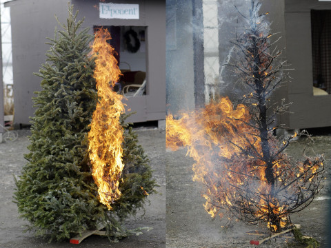 State television reported on Christmas tree arsons in the EU and the UK but used footage from China, Egypt, and Argentina