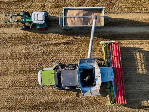 4,6 млн тонн — это много или мало? Что не так с оценкой урожая на Белорусском радио