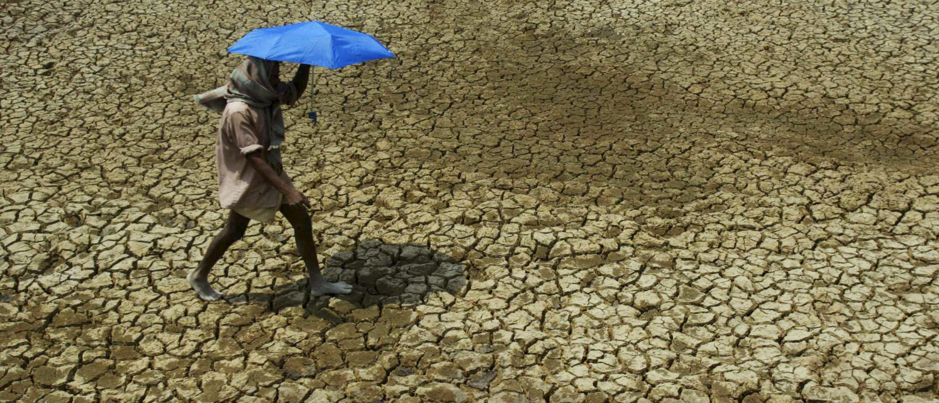 “They’re proposing to destroy society.” A Belarusian Radio host distorted a study on sustainable development on the planet