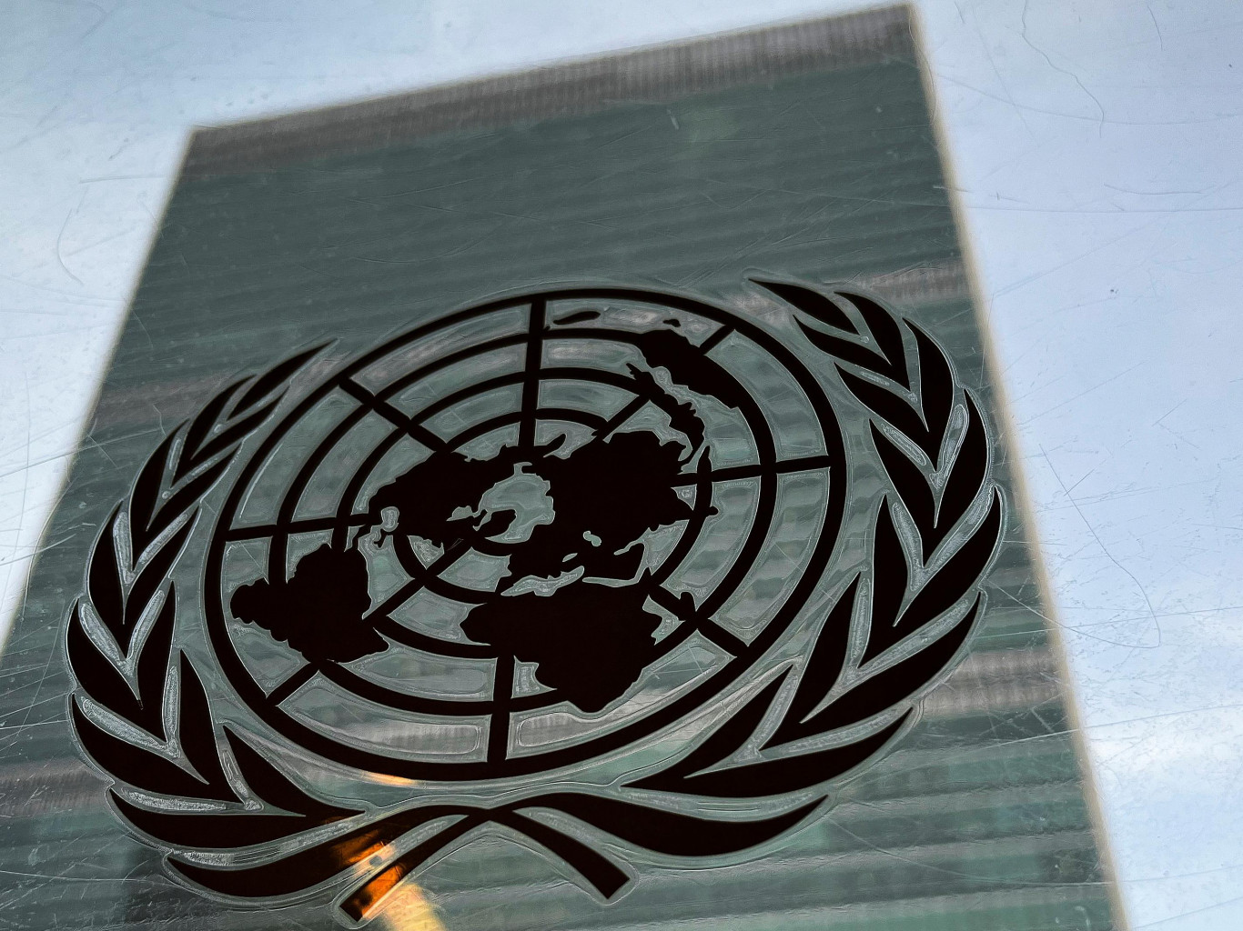 Мы подали иск в ООН, чтобы заставить беларусских чиновников исполнять свои прямые обязанности