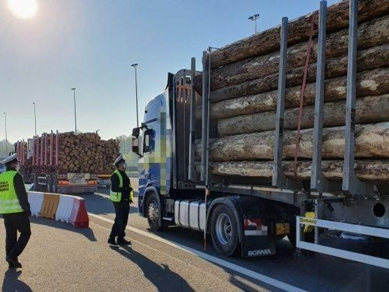 Падатковая Польшчы: былі затрыманыя 80 партый драўніны, як мяркуецца, з Беларусі. У парламенце лічаць, што гэта толькі малая частка