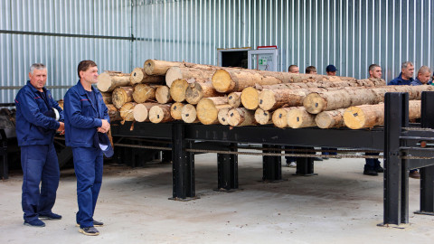 Belarusian wood processing industry has been cut off from margin market